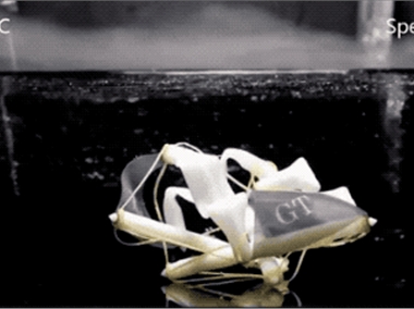 3d打印機價格 3d打印機價格