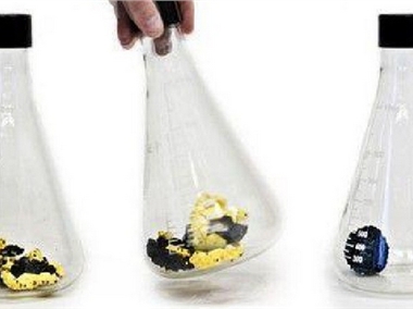 4D打印技術(shù)